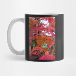 Autumn Colours 5 Mug